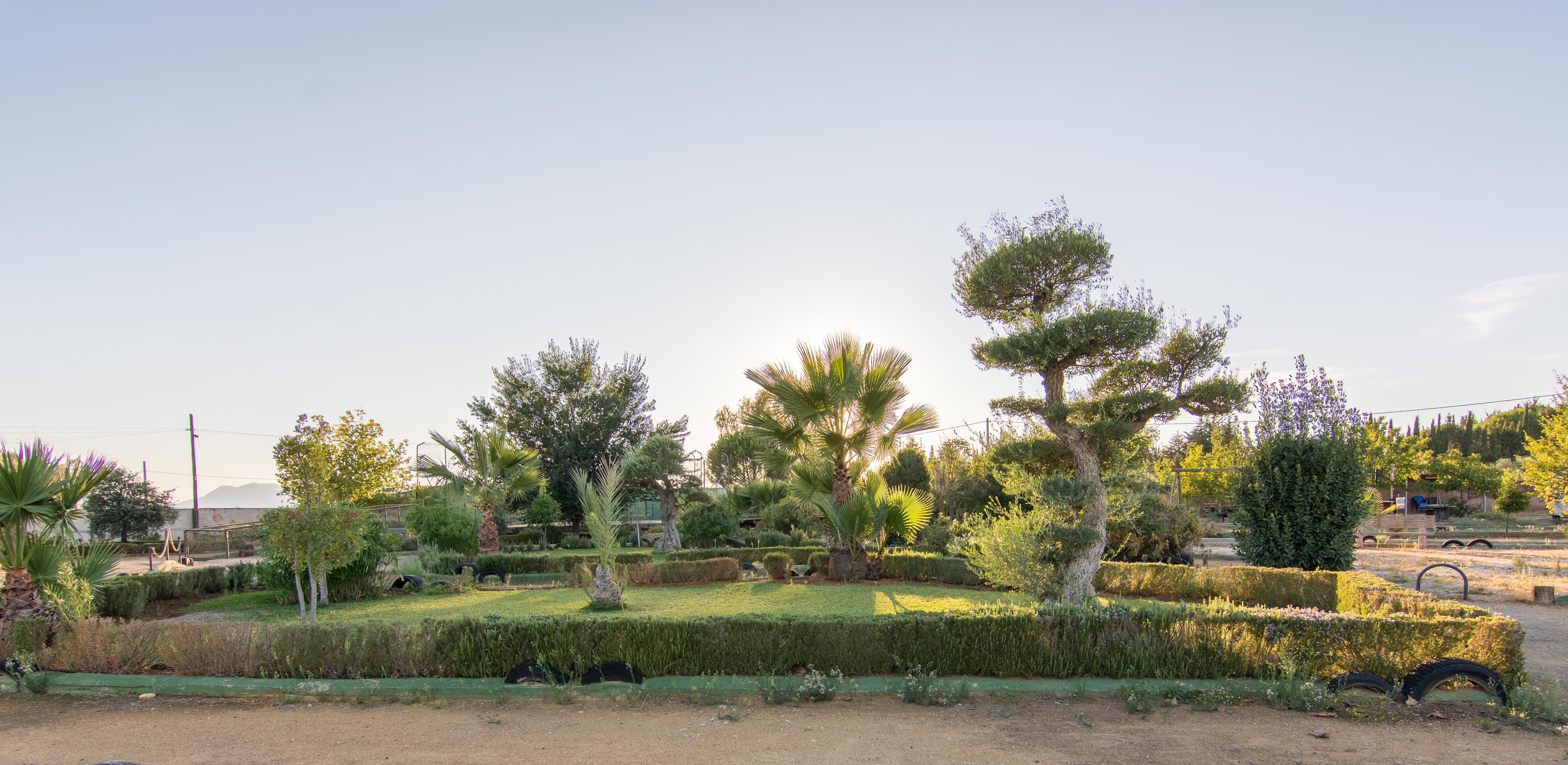 Hotel Rural El Cortijo Ronda Ngoại thất bức ảnh