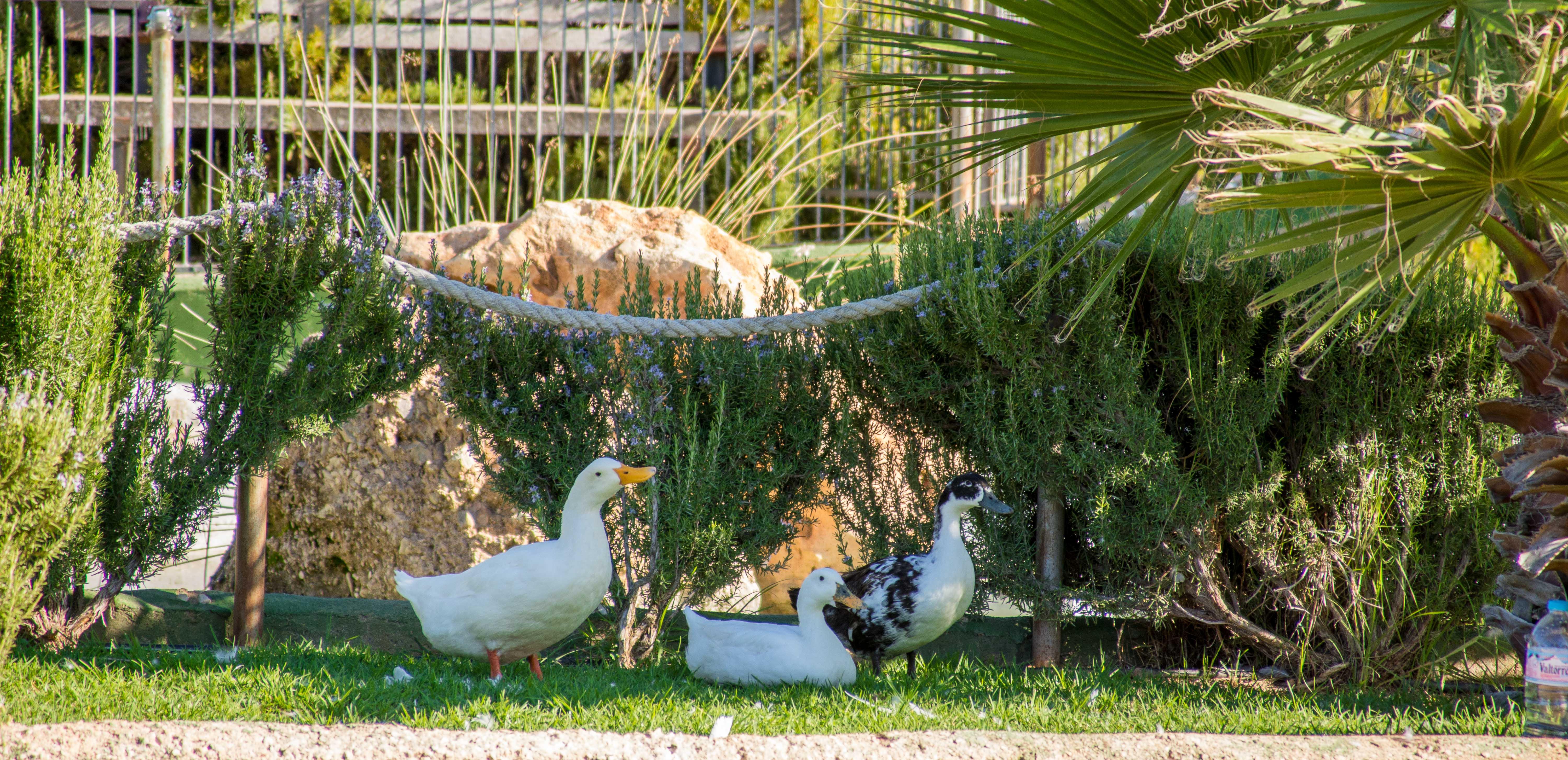 Hotel Rural El Cortijo Ronda Ngoại thất bức ảnh